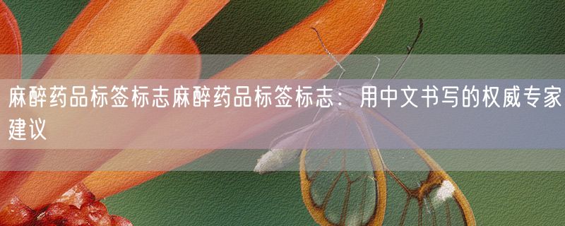 <strong>麻醉药品标签标志麻醉药品标签标志：用中文书写的权威专家建议</strong>
