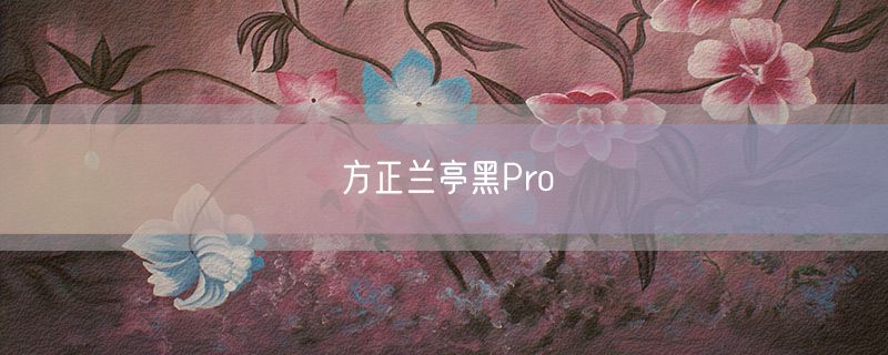 <strong>方正兰亭黑Pro</strong>