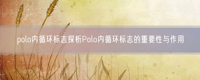 polo内循环标志探析Polo内循环标志的重要性与作用