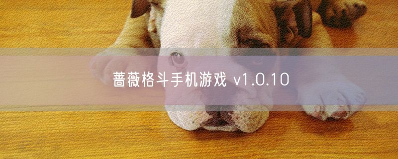 蔷薇格斗手机游戏 v1.0.10